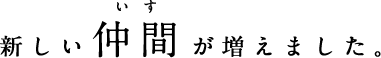 新しい仲間（いす）が増えました。