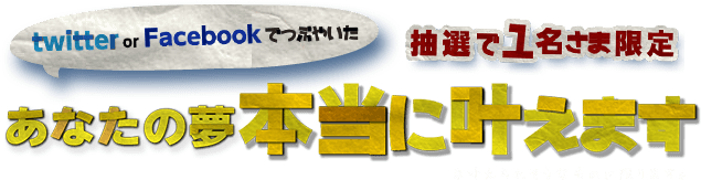 twitter・Facebookでシェアしたあなたの夢本当に叶えます！　抽選で1名さま限定　※叶えられそうなものに限ります